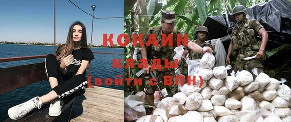 прущие крисы Надым