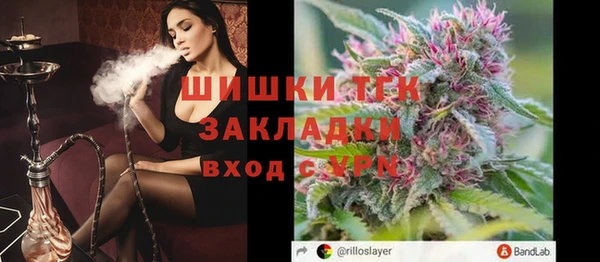 прущие крисы Надым