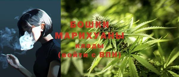 прущие крисы Надым