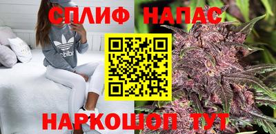 ECSTASY Заводоуковск