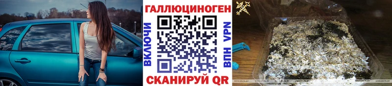 Галлюциногенные грибы мицелий  хочу   Ставрополь 