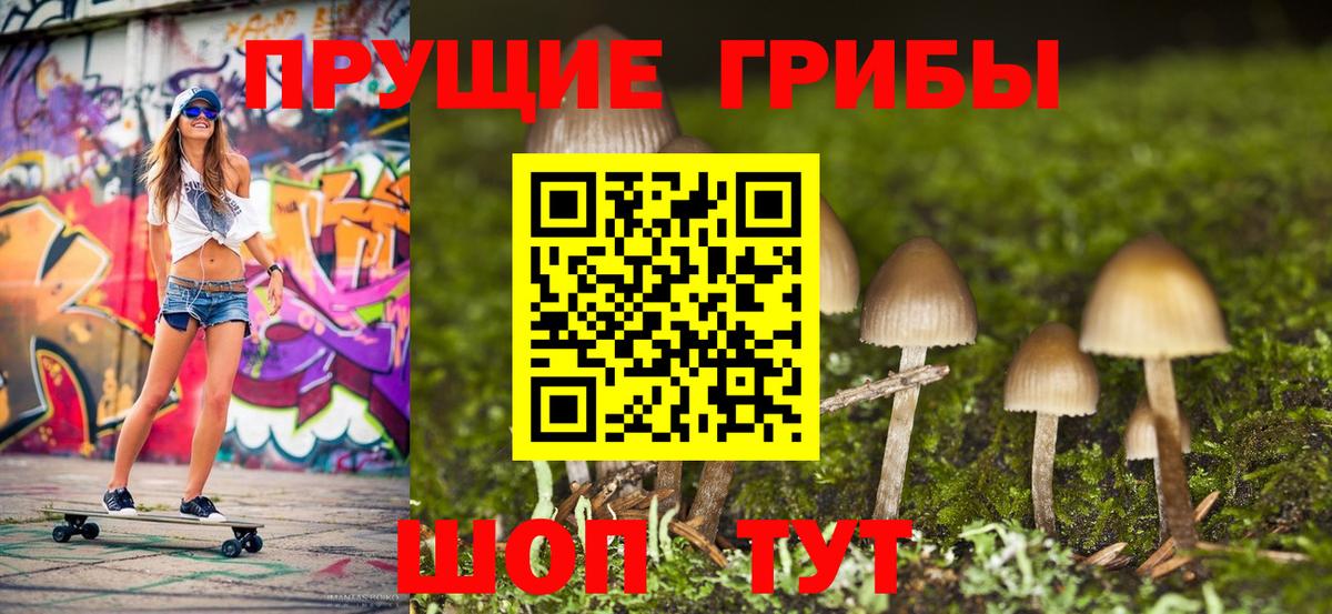 Ставрополь  Псилоцибиновые грибы мухоморы  Вход с VPN 