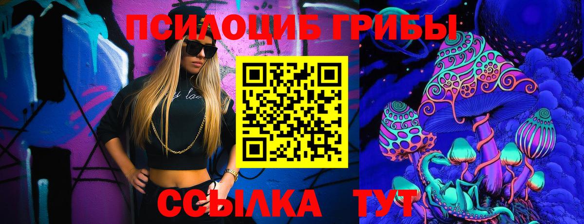 Галлюциногенные грибы Cubensis Ставрополь