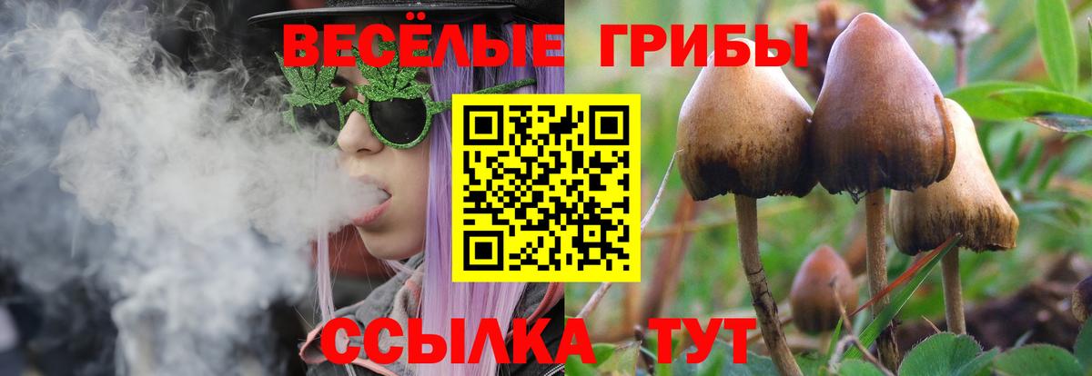 Alpha PVP Ставрополь